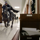 His trusty steed flies like the wind through a congressional corridor.